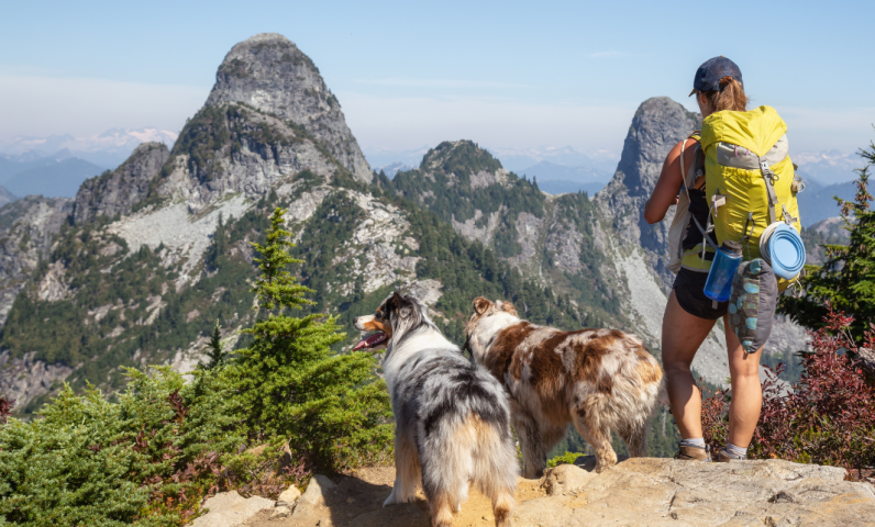 Randonnées avec chiens dans les Hautes-Alpes Sunêlia