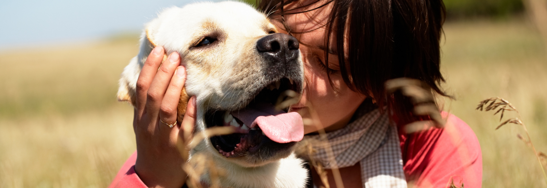 camping sunêlia la presquile découverte avec son chien