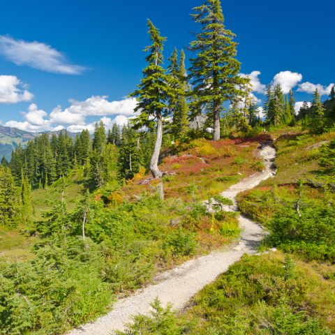Trail au belvédère du Colombier Sunêlia