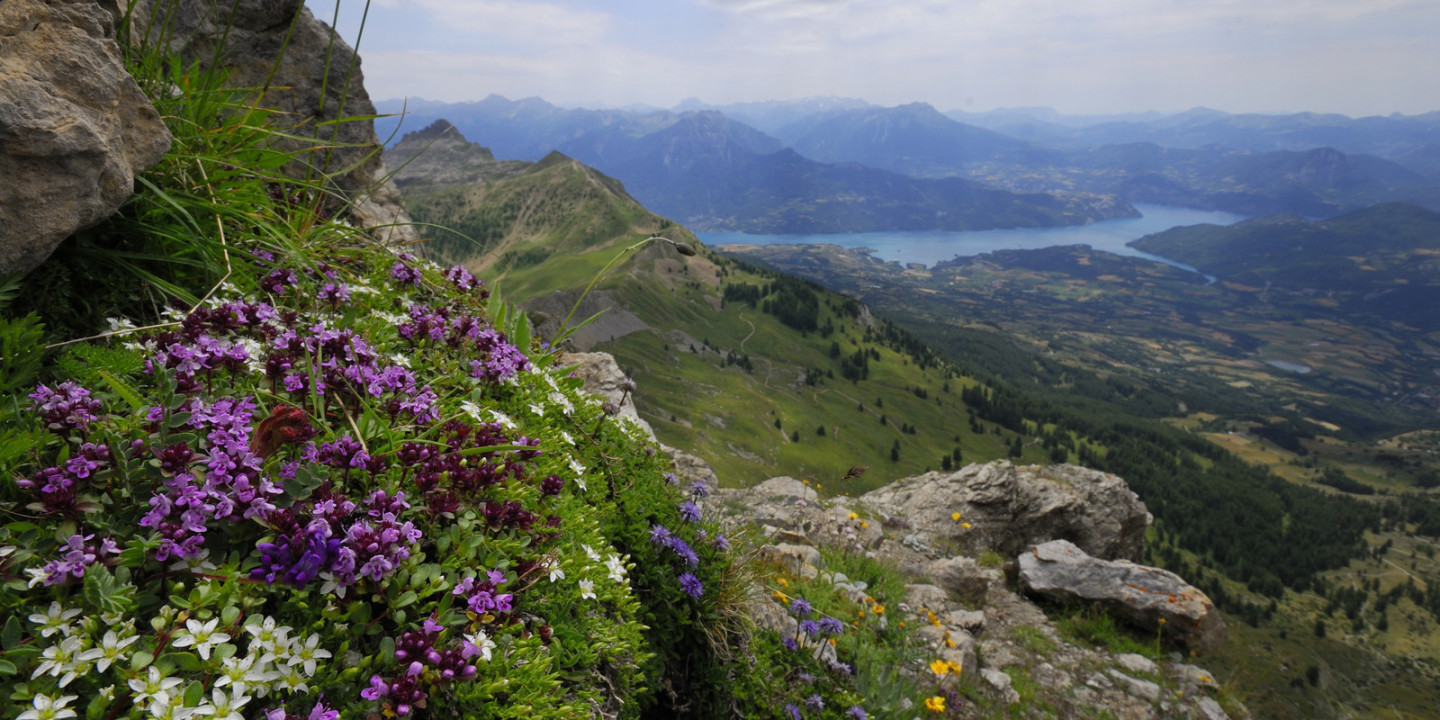 Mireille_Coulomp-Parc_national_des_Ecrins.jpg