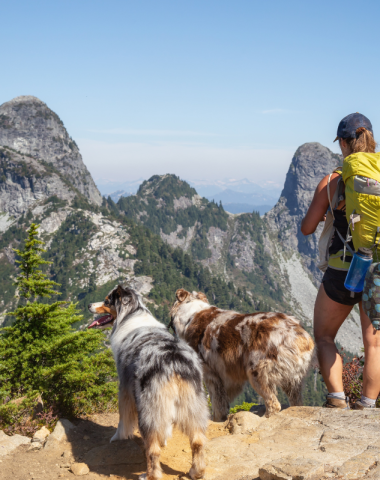 Randonnées avec chiens dans les Hautes-Alpes Sunêlia
