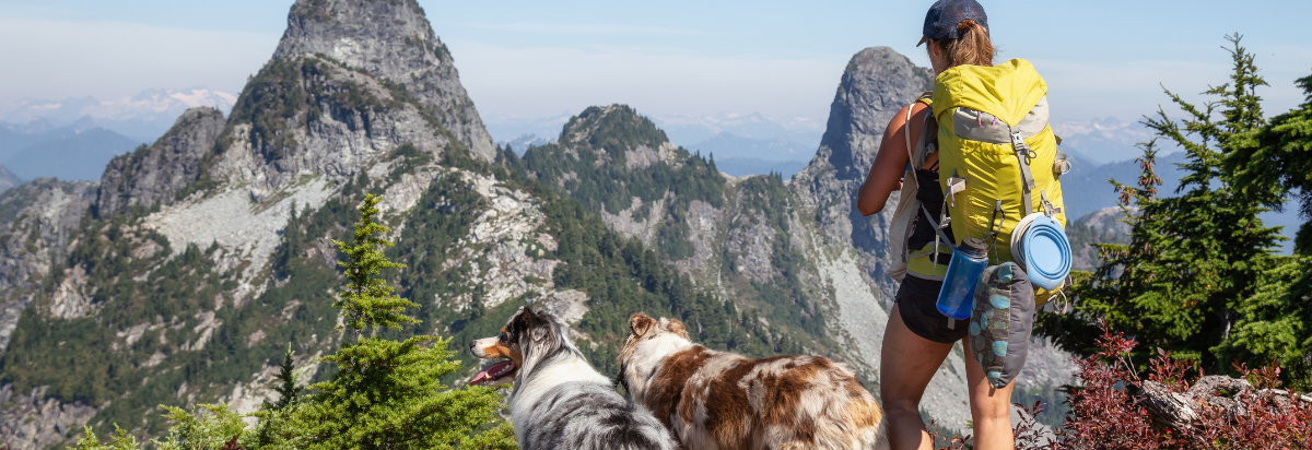Randonnées avec chiens dans les Hautes-Alpes Sunêlia