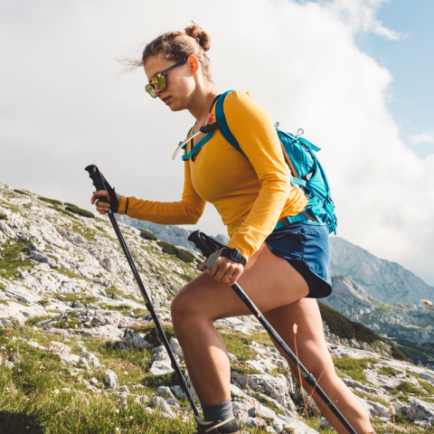 Le mont du Méale Sunêlia