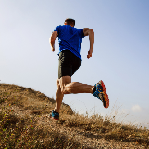 Trail au sommet du Piolit Sunêlia