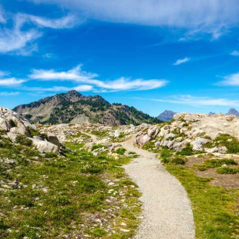 Le Chemin du Garde Sunêlia
